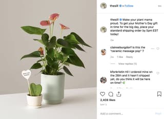 the sill bright colors on ecommerce advertising