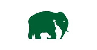 Kölner Zoo cool logo design
Cool logo design ideas
