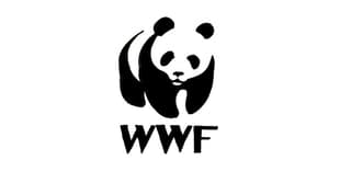 WWF panda cool logo
Cool logo design ideas