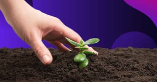 10 Sustainable Businesses that Promote Advocacy Through Their Branding