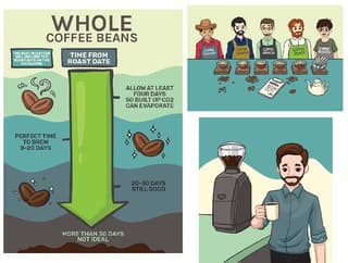 penji infographics example