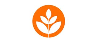 Design and innovation consulting firms