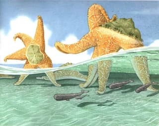 book illustration example