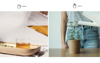 product packaging design