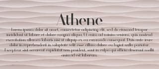 free fonts for commercial use