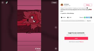 digital illustrator on tiktok