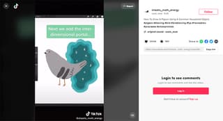 digital illustrator on tiktok