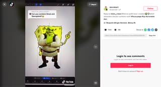 digital illustrator on tiktok