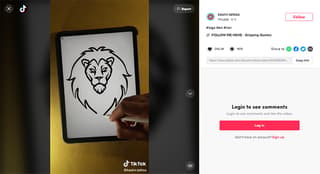 digital illustrator on tiktok