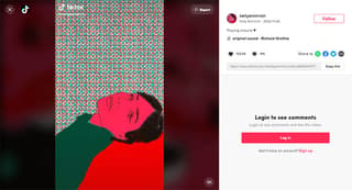 digital illustrator on tiktok