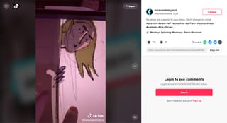 digital illustrator on tiktok