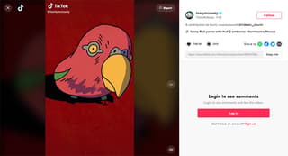 digital illustrator on tiktok