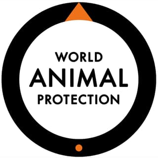 charity logo example
