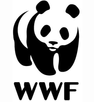 charity logo example