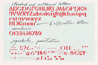 Alphabet written in Raks typeface