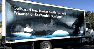 PETA truck

billboard trucks
billboard truck
advertising trucks
digital billboard trucks
mobile billboard truck