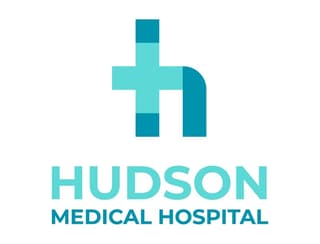 h logo example