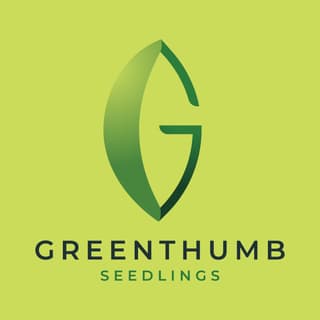 g logo example