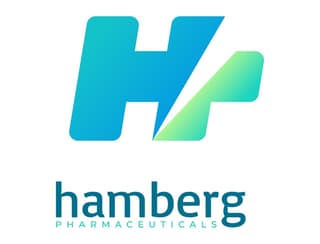 letter h logo example