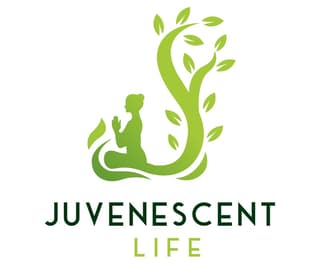 letter j logo example