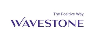 consulting logo for wavestone