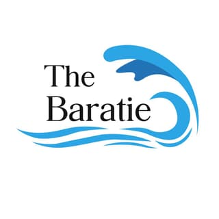 wave logo for baratie company