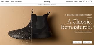 allbirds web design for small business 