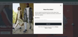 web design example