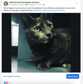 Screen shot of a Facebook boosted post, one of the cheapest advertising platforms available.