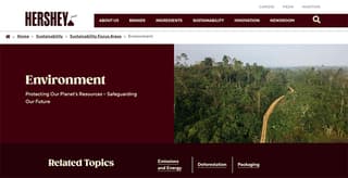green marketing example