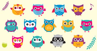 owl illustrations