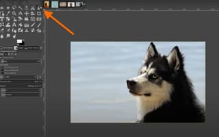 Gimp interface