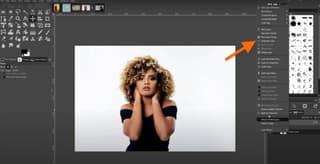 Gimp interface