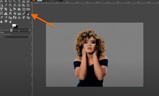Gimp interface