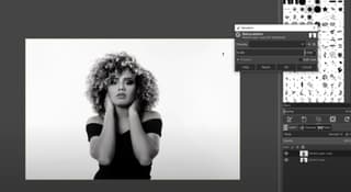 Gimp interface