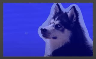 Gimp interface