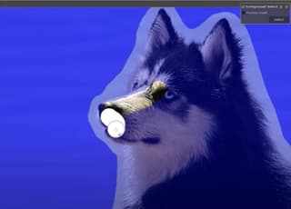 Gimp interface