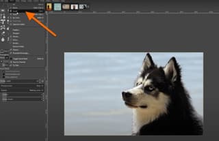 Gimp interface