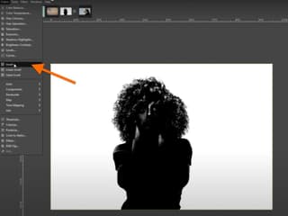 Gimp interface