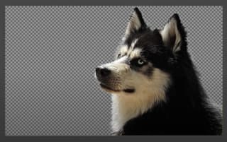 Gimp interface