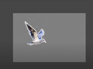 Gimp interface