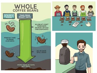 Infographic design service
