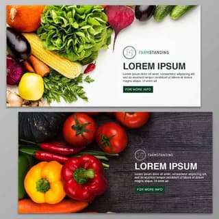 Web design services
