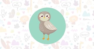 Get A Little Bit Wiser with These Owl Logos