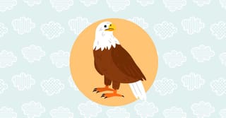Soar to New Heights with These Hawk Logos