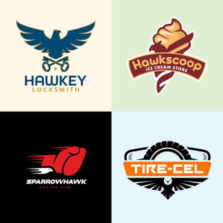 Hawk Logo Design Inspirations